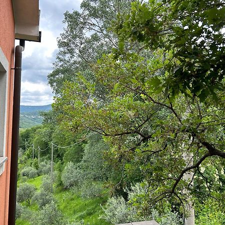 Ai 2 Olmi - Monolocali Nel Verde Múggia Kültér fotó